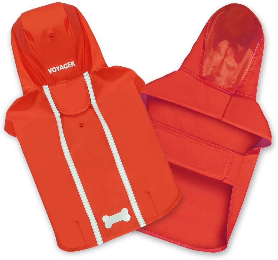 61Y5XrndIrL._AC_SL1000_